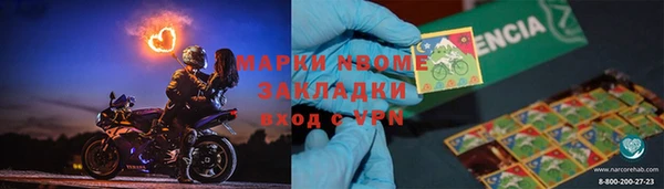 индика Усинск