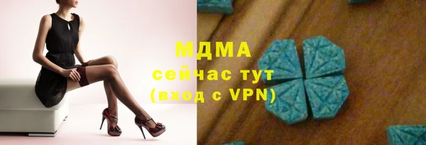 индика Усинск
