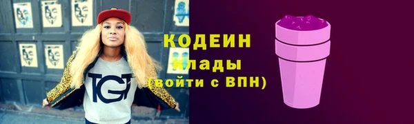 соль ск Великий Новгород