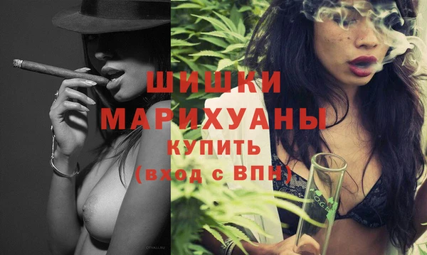 индика Усинск