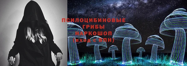 индика Усинск