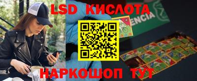 стафф Аргун