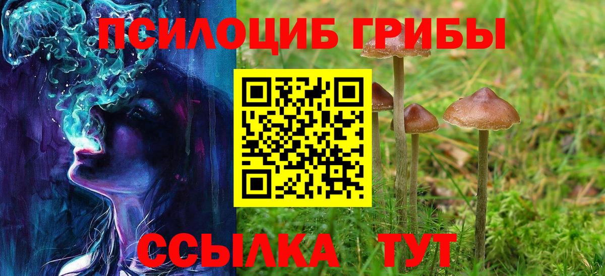Псилоцибиновые грибы мухоморы  Галлюциногенные грибы Magic Shrooms  Вход с VPN  Ангарск 