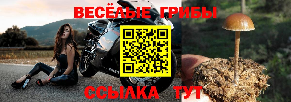 Галлюциногенные грибы мицелий  Ангарск 