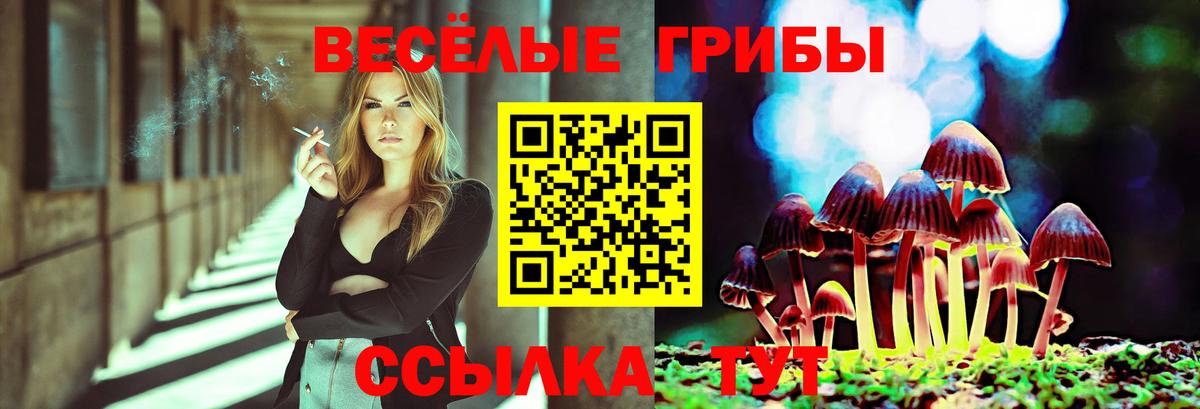 Галлюциногенные грибы Magic Shrooms Ангарск